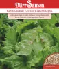 Artikelbild 1 von 'Kopfsalat Grazer Krauthäuptel' aus der Kategorie Kopfsalatsamen Produktbild-Vorschau
