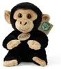 Peluche Scimpanzé 18 Cm Ecologico Anteprima dell’immagine prodotto 3