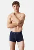 Calvin Klein Herren 3er Pack Low Rise Trunks, Blau XL Produktbild-Vorschau 19