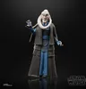 Hasbro Star Wars Černá série Bryndák Fortuna F7076 Náhled obrázku produktu 18