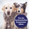 Canosept Beruhigungshalsband Anteprima dell’immagine prodotto 2