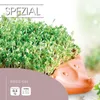 RÖMERTOPF Žerucha - Ježko Náhľad obrázku produktu 7