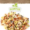 Keimsprossen Fitness-Mischung (Weizen, Mungbohnen und Produktbild-Vorschau 5