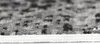 A close-up, side view of the edge of a carpet, showing the texture and pattern. Produktbild-Vorschau