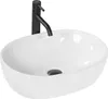 A white oval basin with a black faucet. Anteprima dell’immagine prodotto