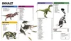 DK Wissen. Dinosaurier Produktbild-Vorschau 3