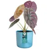 elho® Ocean Übertopf Atlantikblau Ø 14 cm aus Kunststoffen Produktbild-Vorschau 4