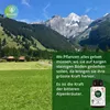 AlpenBitter Kapseln mit Enzian, Wermut, Löwenzahn, Produktbild-Vorschau 6