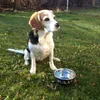 Karlie - popisovateľná miska na jedlo - čierna - 3700 ml Náhľad obrázku produktu 2
