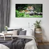 Coloray Bild aus Acryl 140 cm x 70 cm - Wanddekoration Produktbild-Vorschau 4