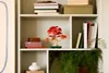 LEGO BOTANICALS 10348 Japanese Red Maple Bonsai Tree Anteprima dell’immagine prodotto 10