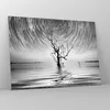 Bilder auf glas - Einteilig - Schwarzweiß Baum See - Produktbild-Vorschau 4