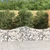 vidaXL Gabione mit Hochbogen 200x50x60/80 cm Verzinktes Produktbild-Vorschau 2