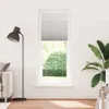 A minimalist interior scene with a floor lamp, a sofa, a window with blinds, and a large plant. Anteprima dell’immagine prodotto