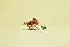 LEGO® Jurassic World™ 76970 Babydinosaurier Dolores: Produktbild-Vorschau 30