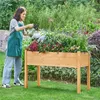 A woman watering plants in a raised garden bed. Produktbild-Vorschau