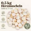 0,5 kg Herzmuscheln Cardium flavus 3-5 cm mit Produktmerkmalen Produktbild-Vorschau