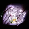 Hands holding a string of fairy lights. Voir les images du produit