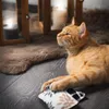 Katzenminze Kissen für Katzen | Canadian Cat | CARO | 5g Produktbild-Vorschau 5