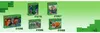 LEGO Minecraft Minibiomi 21589 Anteprima dell’immagine prodotto 40