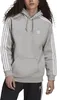 A person wearing an Adidas hoodie. Anteprima dell’immagine prodotto