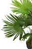 Künstliche Fächerpalme 90 cm mit 9 Palmenwedel Kunstpalme Produktbild-Vorschau 2