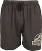 Jurassic Park Schlafanzug Herren Logo multicolor L Produktbild-Vorschau 5