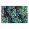 DEQORI Glasbild Echtglas 90x60 cm 'Sukkulente Pflanzen' Produktbild-Vorschau 2