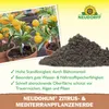 Neudorff NeudoHum Zitrus- & MediterranpflanzenErde 40 Liter Produktbild-Vorschau 5