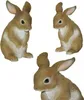 Dekofigur Gartenfigur Hase Produktbild-Vorschau 6