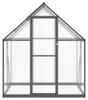 vidaXL Serra con telaio di fondazione antracite 169x114x195 Anteprima dell’immagine prodotto 3