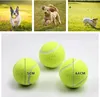 Lanceur de balles automatique BOT pour chiens L1 petites Voir les images du produit 12