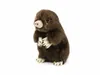 A plush toy mole is shown standing upright against a white background. Produktbild-Vorschau