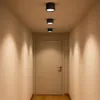 A hallway with a door and three ceiling lights. Podgląd zdjęcia produktu