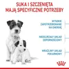 Two dogs, an adult and a puppy, are shown with text boxes describing specific needs for mother dogs and puppies. Produktbild-Vorschau