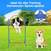 Kit d'agilité pour chiens Peviasot, comprenant : un tunnel Voir les images du produit 4