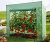 GREENPRO XXL Gewächshaus Treibhaus Frühbeet Produktbild-Vorschau 1