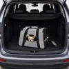belviona Haustier-Tragetasche, Transporttasche für Katzen & Produktbild-Vorschau 2