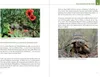 Der Schildkröten-Gärtner - Naturnahe Ernährung Europäischer Voir les images du produit 3