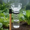 Set di 2 pluviometri – 17,5 cm – Pluviometro in vetro Anteprima dell’immagine prodotto 3