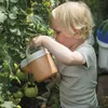 dantoy Pflanzen-Setmit Giesskanne, mehrfarbig (1 Set) Produktbild-Vorschau 17