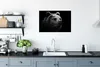 MuchoWow® Poster Bär - Leicht - Schwarz 60x40 cm - Produktbild-Vorschau 3