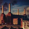 Pink Floyd - Animals (ristampa) (LP) Anteprima dell’immagine prodotto 2