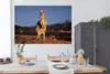 MuchoWow® Poster Känguru - Tier - Sonne - Natur 180x120 cm Produktbild-Vorschau 4