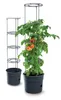 Fortena Tomatenanzuchttopf 28L mit Rankhilfe Höhe 153 cm Produktbild-Vorschau 3
