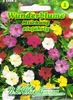 Wunderblume Mischung  | Blumensamenmischung von N.L. Produktbild-Vorschau 3