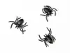 Spinnen Deko 3x3cm 10 Stück Schwarz Produktbild-Vorschau 1