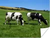 MuchoWow® Poster Kuh - Tiere - Gras 120x90 cm - Wandbild Produktbild-Vorschau 1