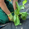 GARDENIX IronPEG picchetti zincati per giardino Lunghezza: Anteprima dell’immagine prodotto 5