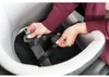 TRIXIE Erhöhter Autositz für kleine Hunde inkl. Produktbild-Vorschau 10